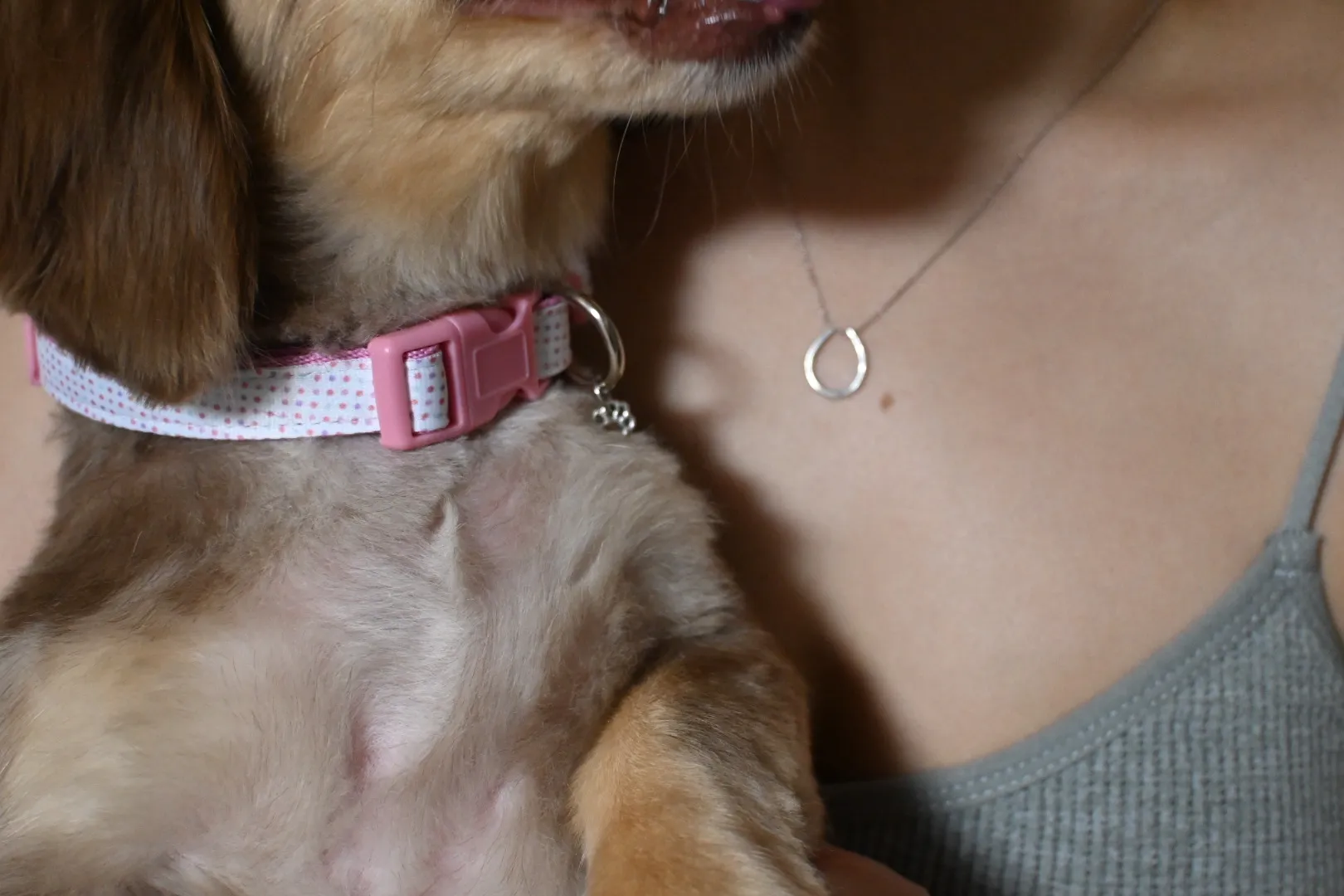 ペットと飼い主のペアジュエリー — 犬の首輪のチャームと飼い主のネックレス