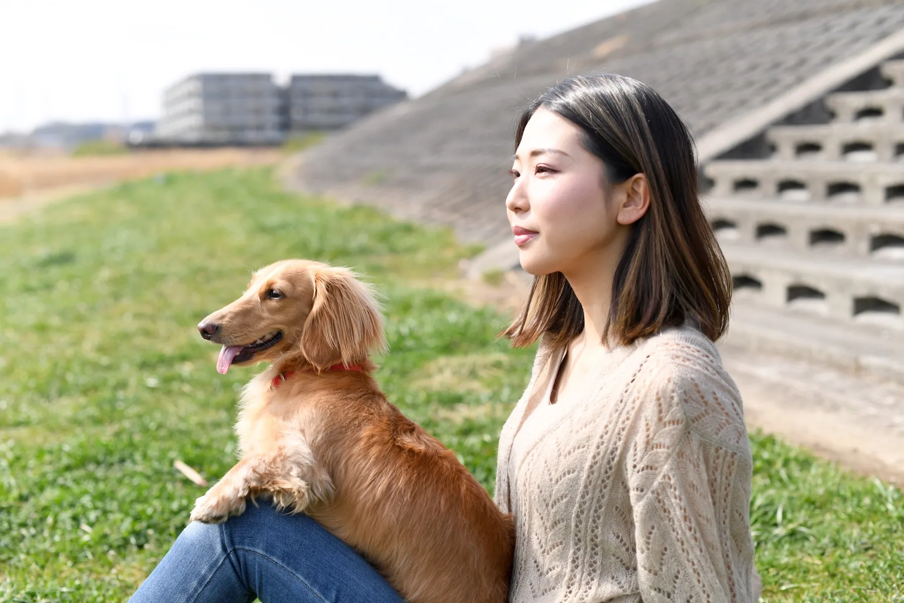 ペットと過ごした日々を振り返る