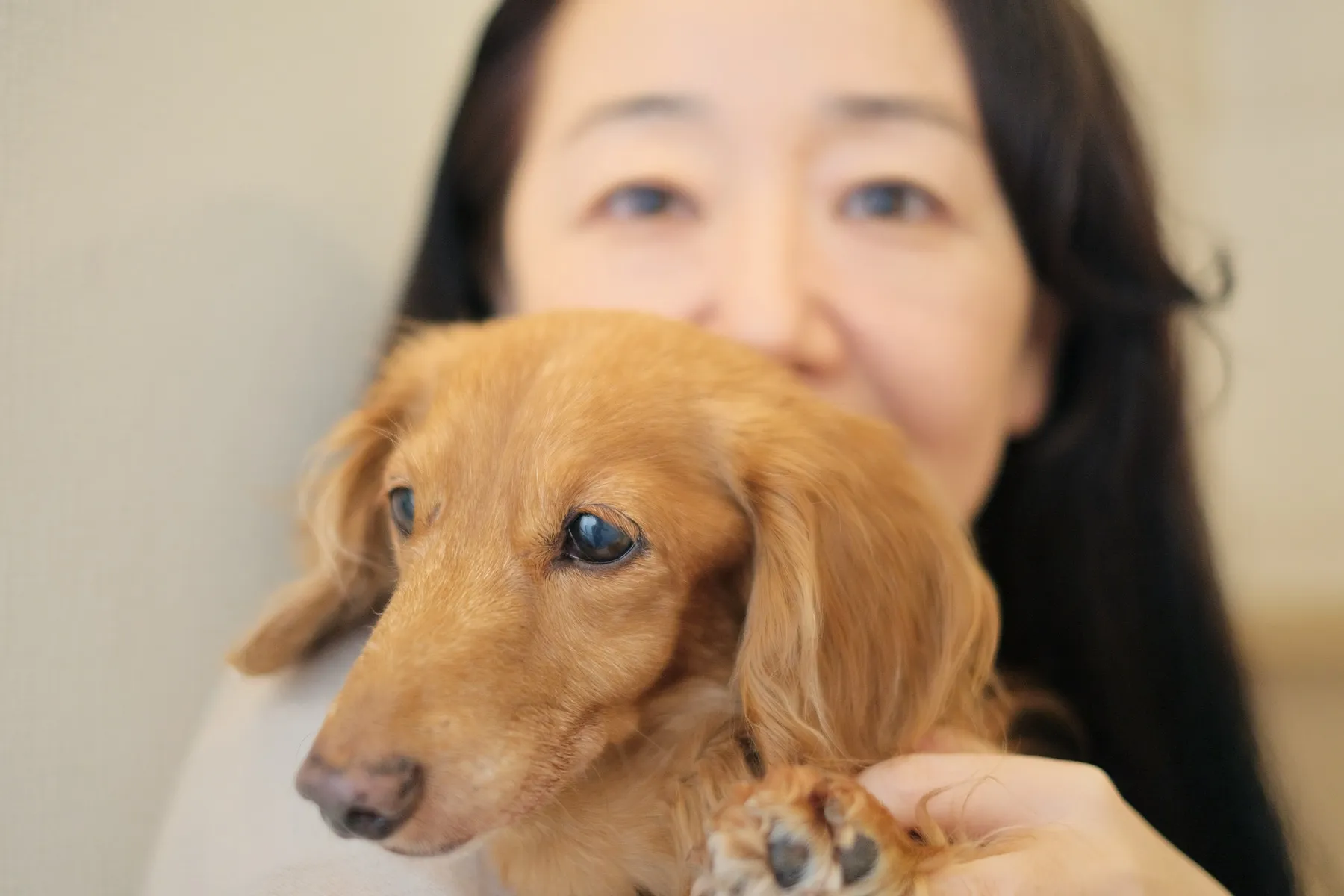 ペットの葬儀・火葬について