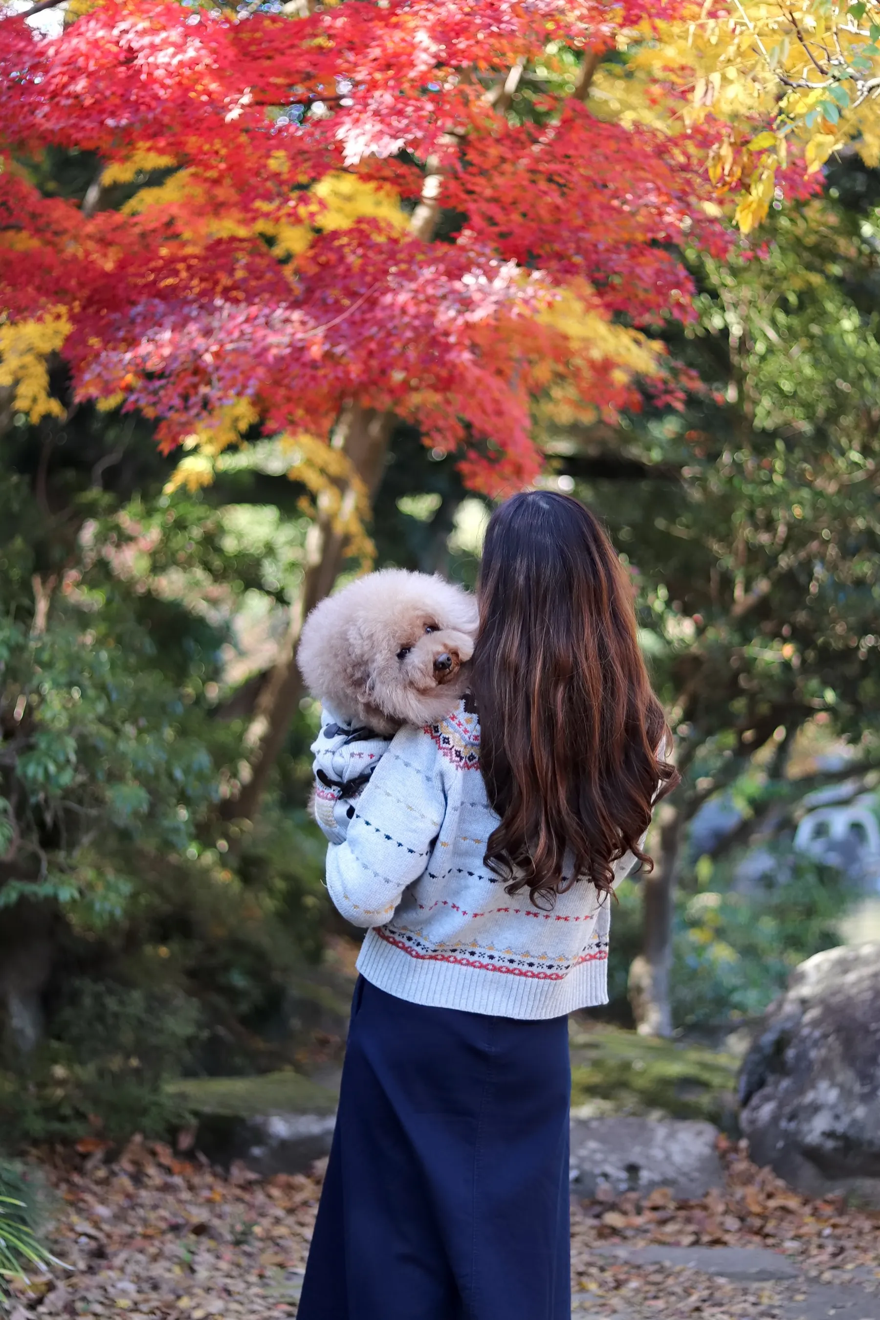 窓辺で想いに沈む女性