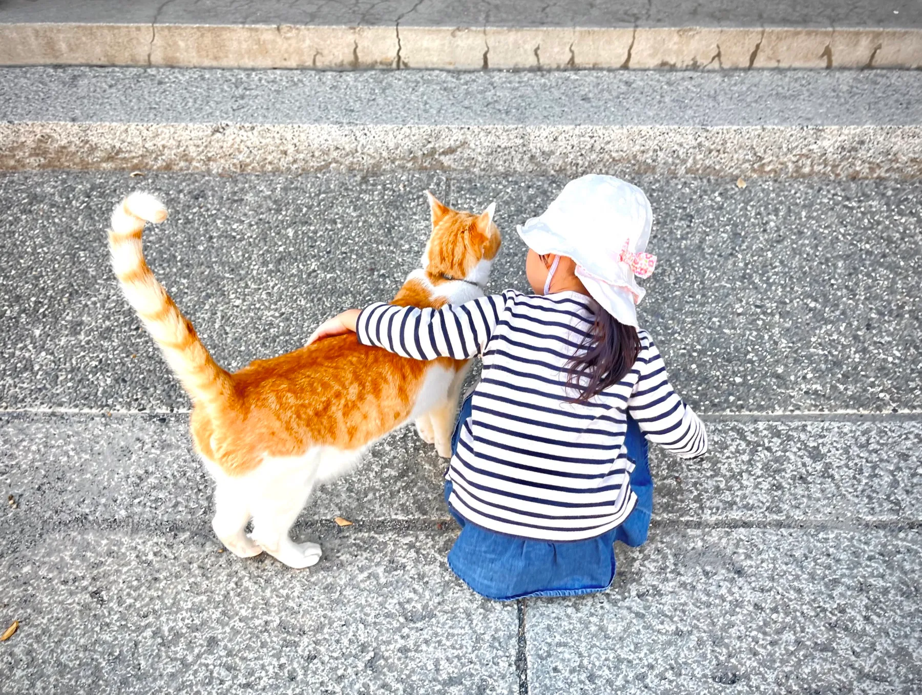しゃがんで猫と向き合う子どもの後ろ姿