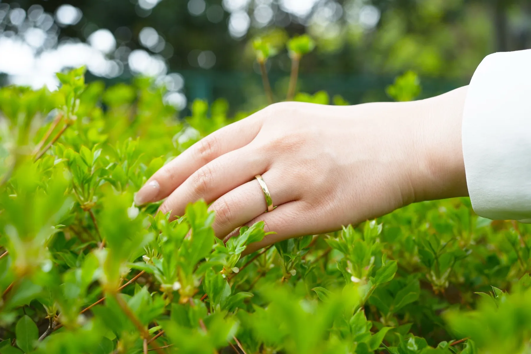 遺骨リングの着用イメージ