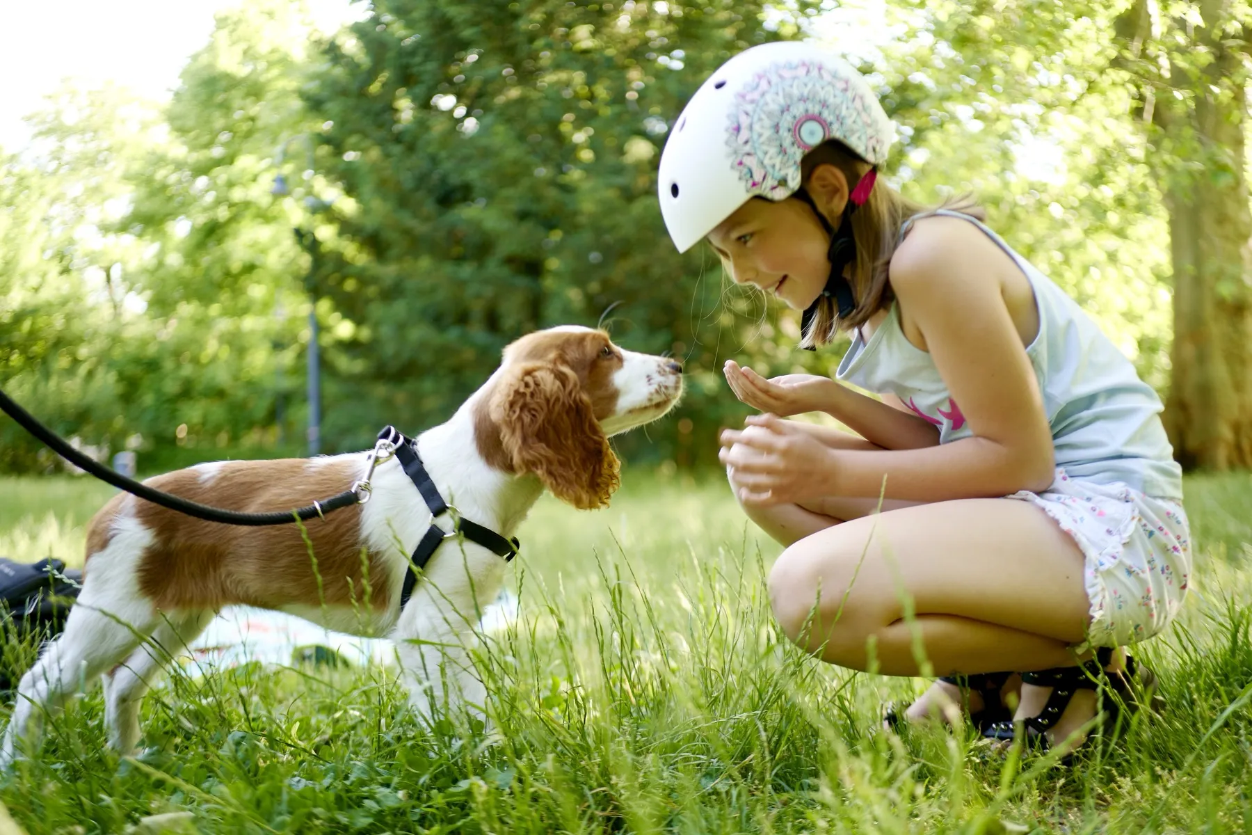 草むらで子犬と向き合う少女