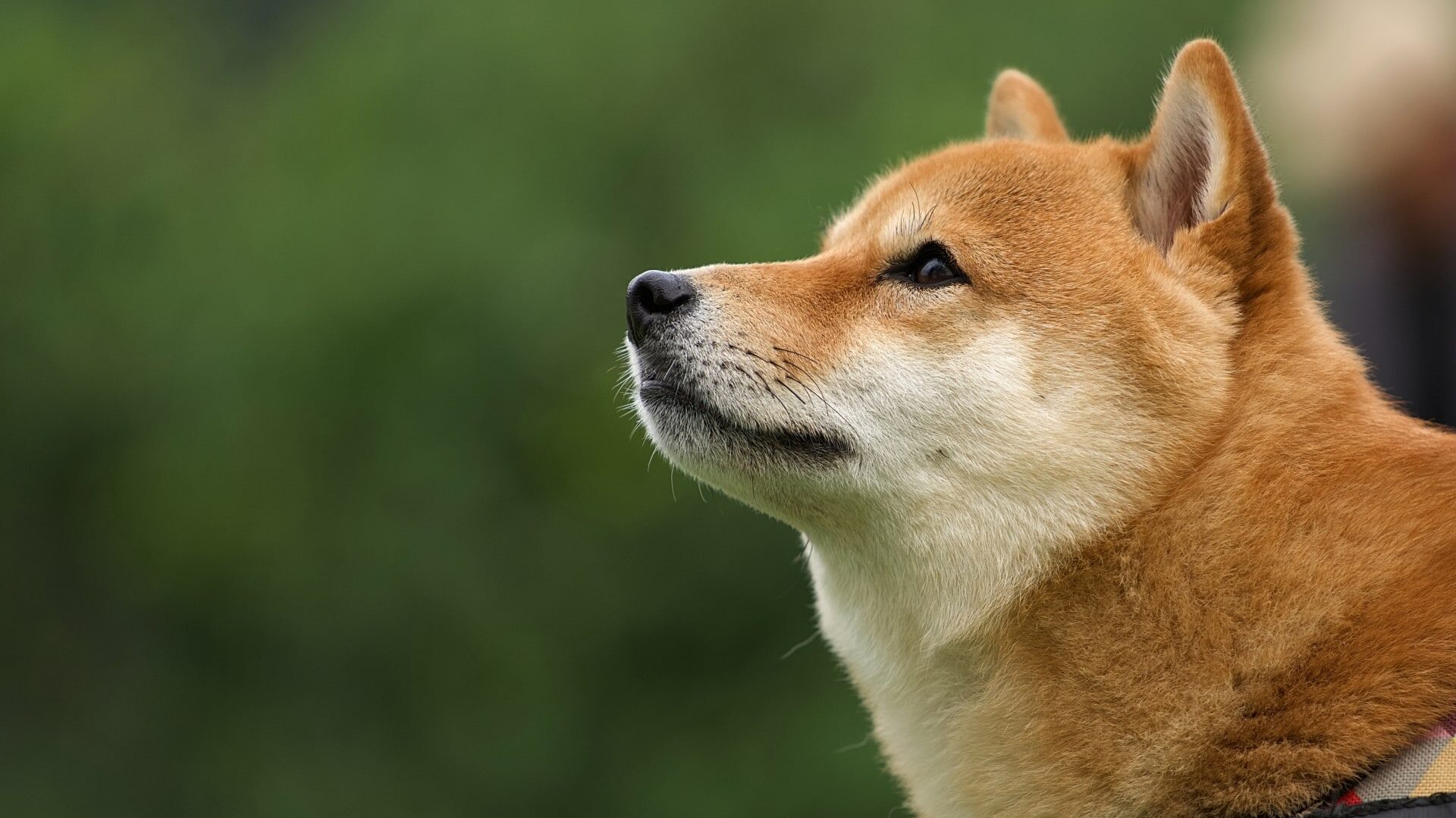 遺骨の湿気による変化