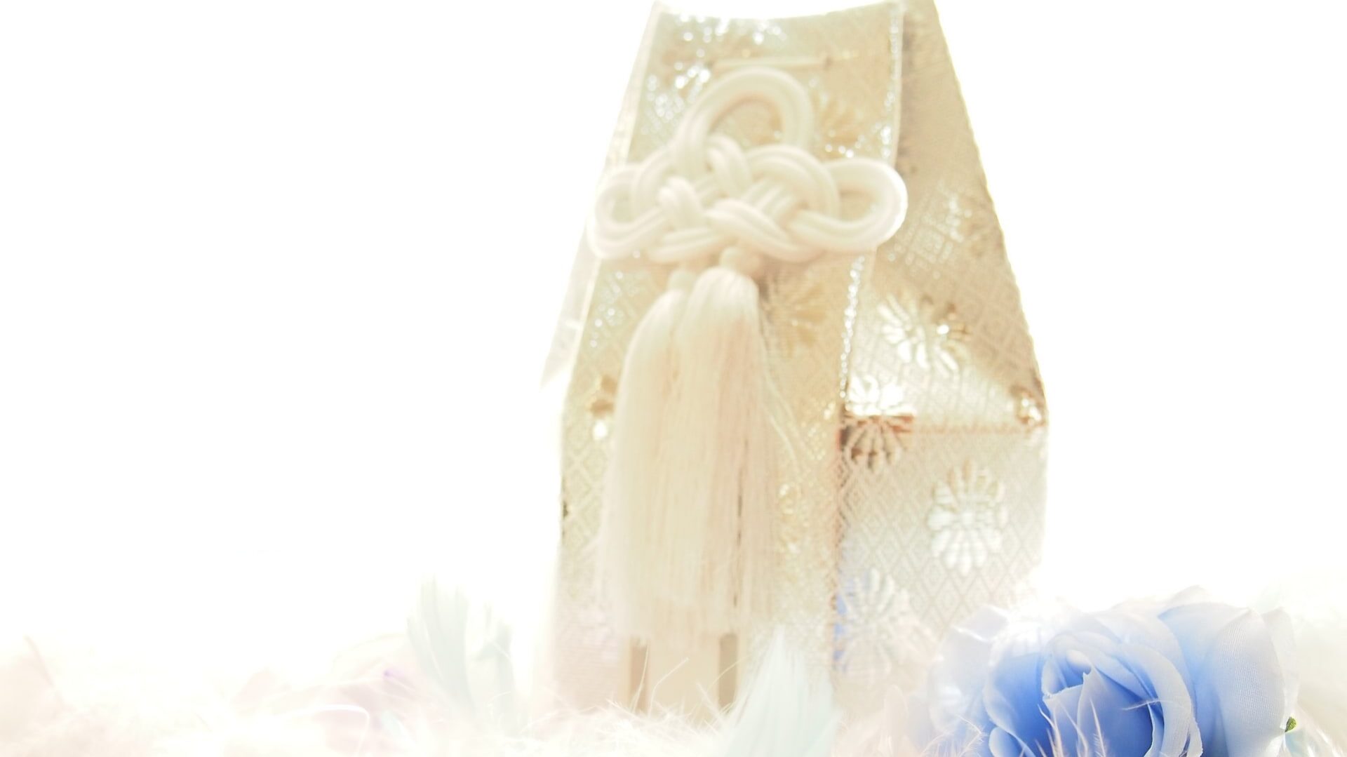 骨壷の保管と遺骨の状態