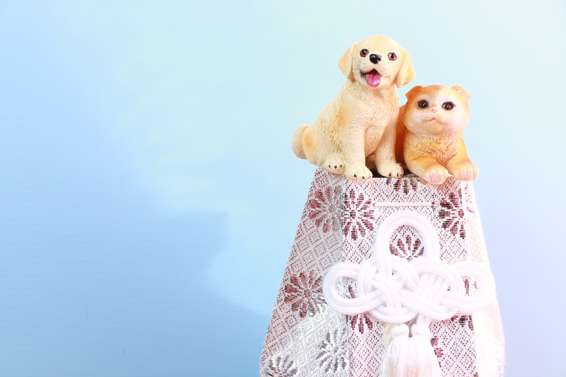 骨壷の中の遺骨の状態