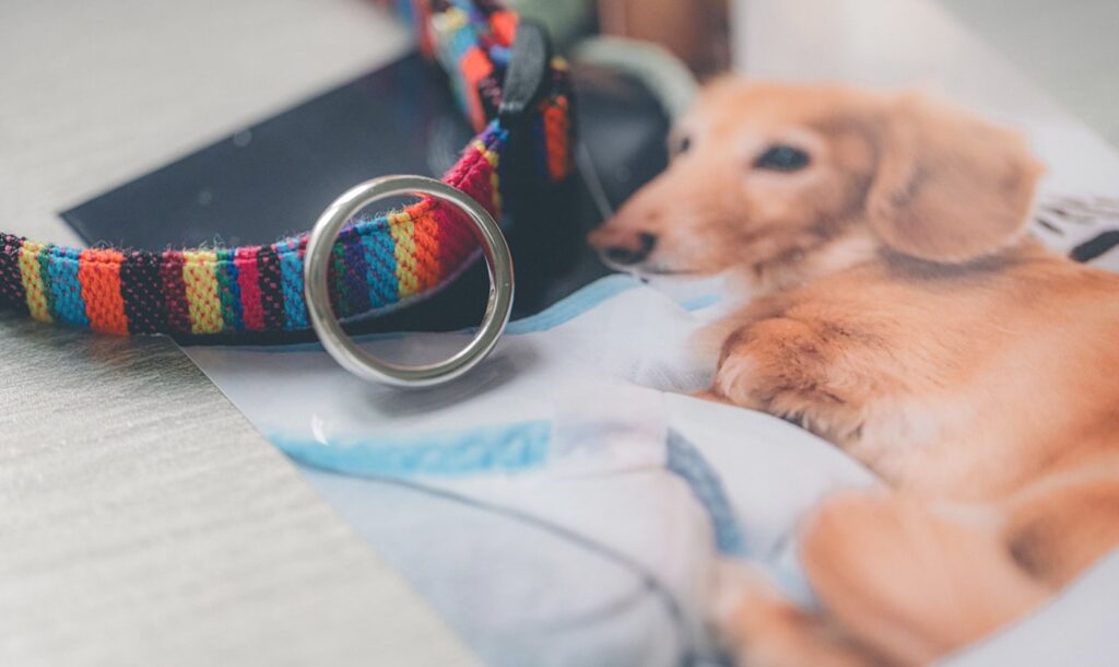 メモリアルリングの完成品