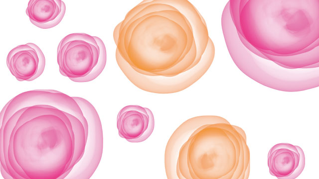 手元供養の選択肢