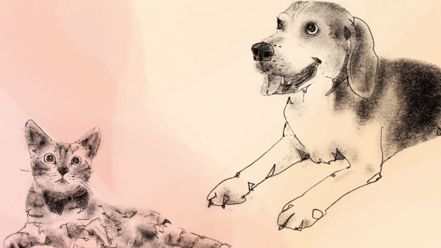 あなたは犬派？猫派？人間性や性格の違い