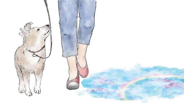 ペットロスの内側に見える愛と優しさ