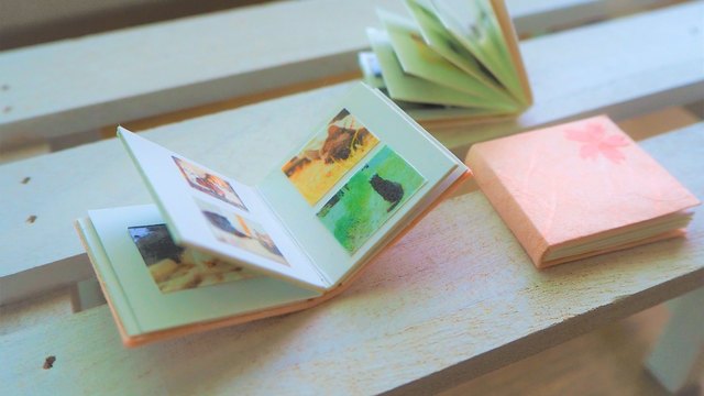 ペットの形見の残し方｜首輪・毛・ひげ・写真の保管方法