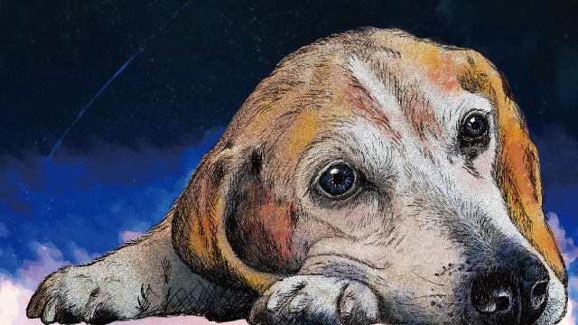 【体験談】ペットロスを乗り越えて – ペットロスから8年たった今の想い