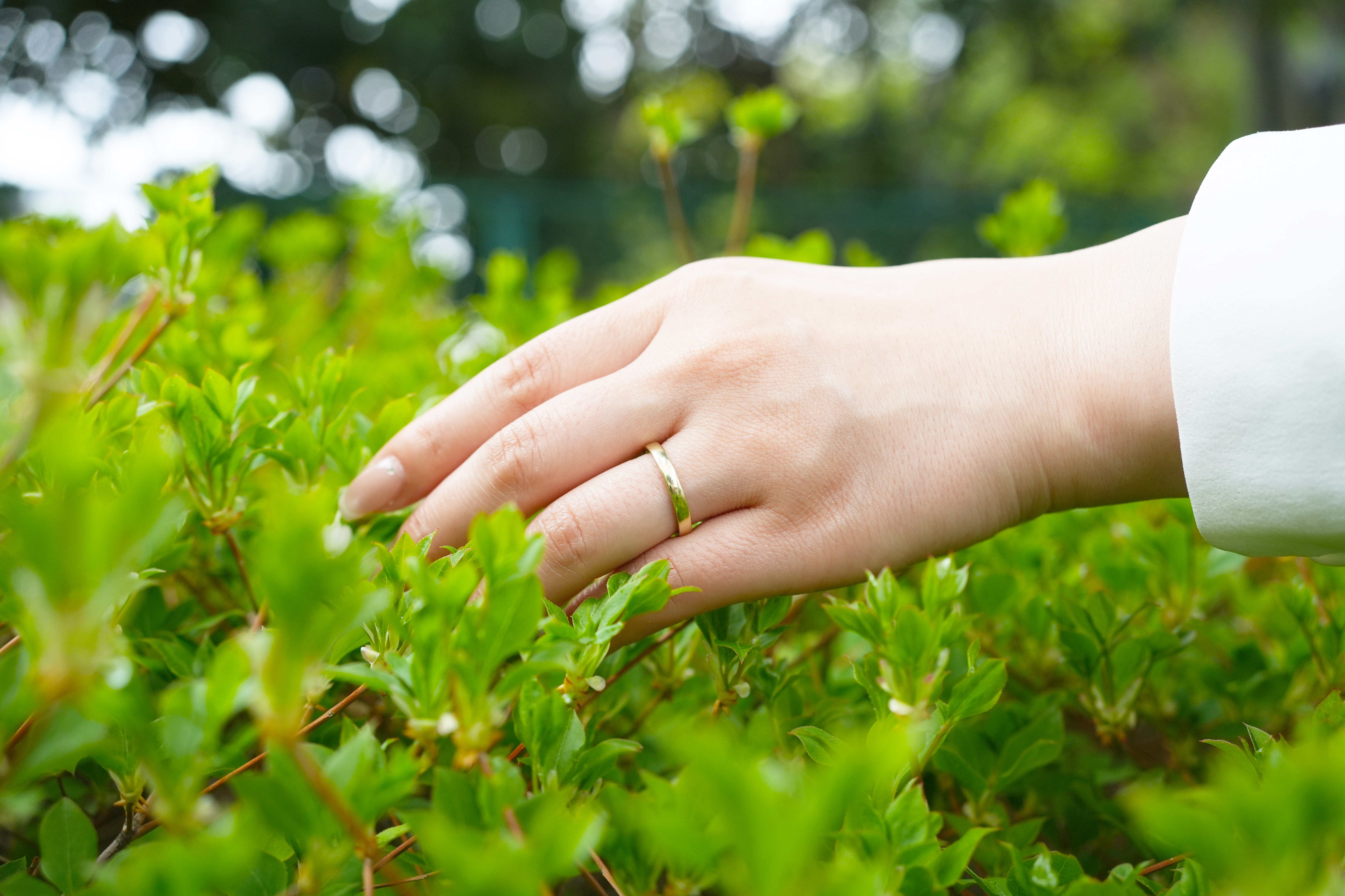 ペット遺骨リングとは｜仕組み・素材・費用がわかる入門