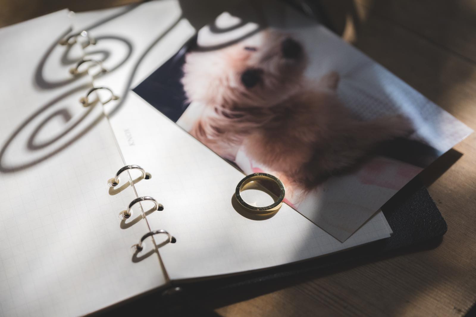 ペットロスとは｜心や体に表れるサインと、悲しみとの付き合い方