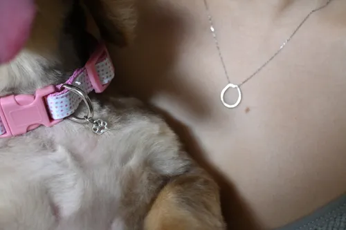 1人と1匹の、おそろいデザイン