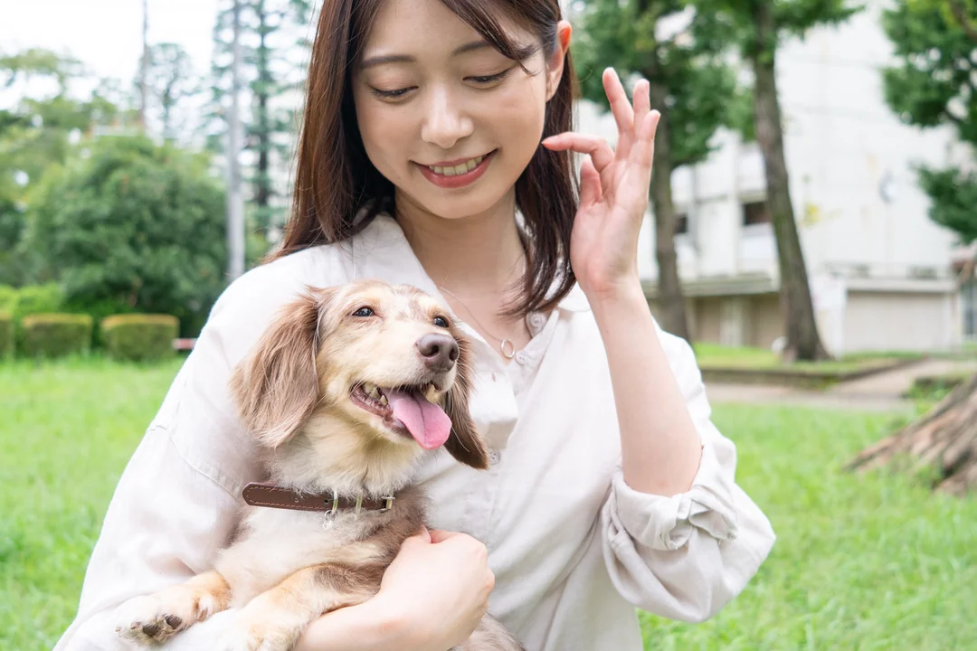 犬と飼い主のお揃いの着用写真